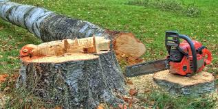 Best Tree Risk Assessment  in West Grove, PA